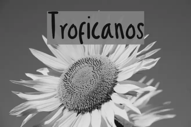 Troficanos Font examples