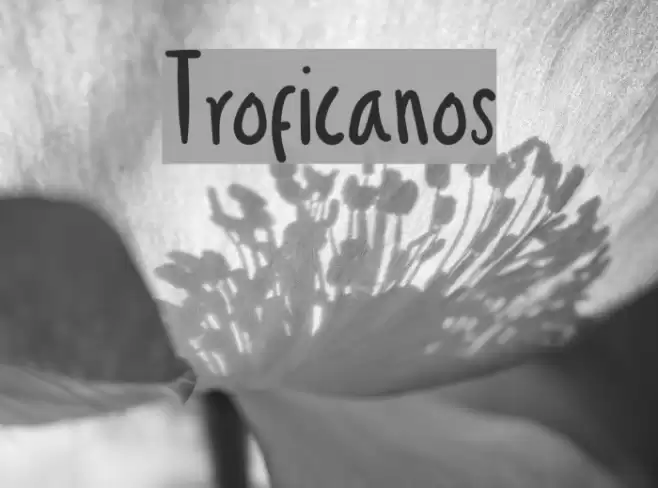 Troficanos Font examples