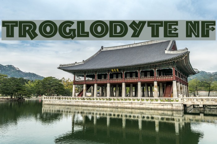 Troglodyte NF Font examples