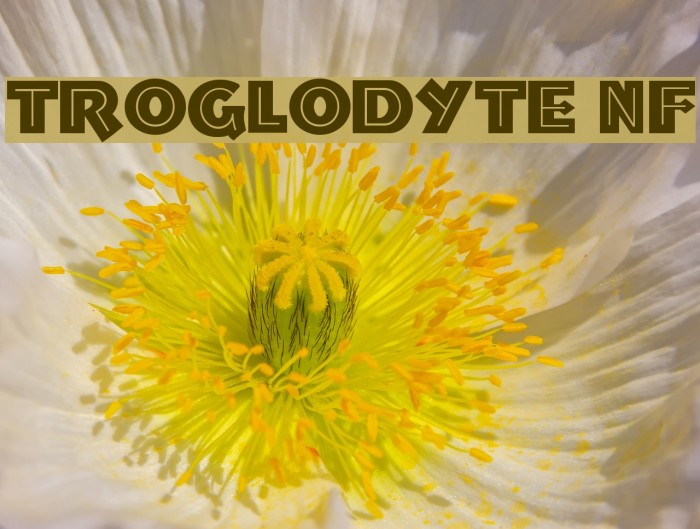 Troglodyte NF Font examples