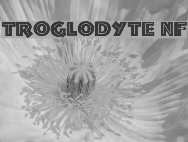 Troglodyte NF Шрифта examples