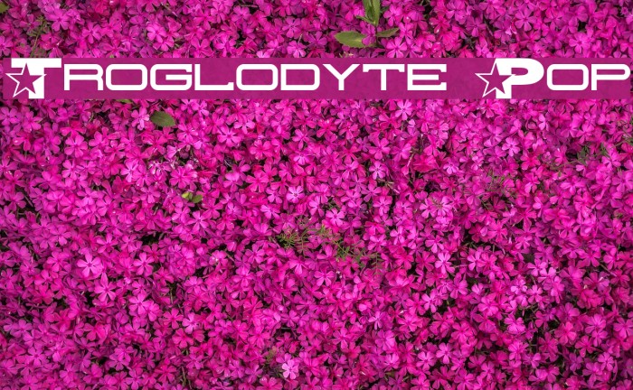 Troglodyte Pop Font examples