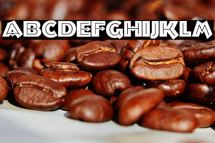 TroglodyteNF Example 1