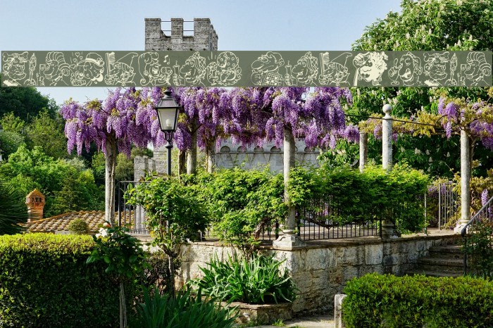 Trognes Regular Example 3