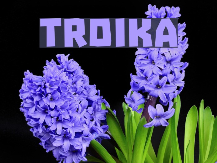 Troika Example 3