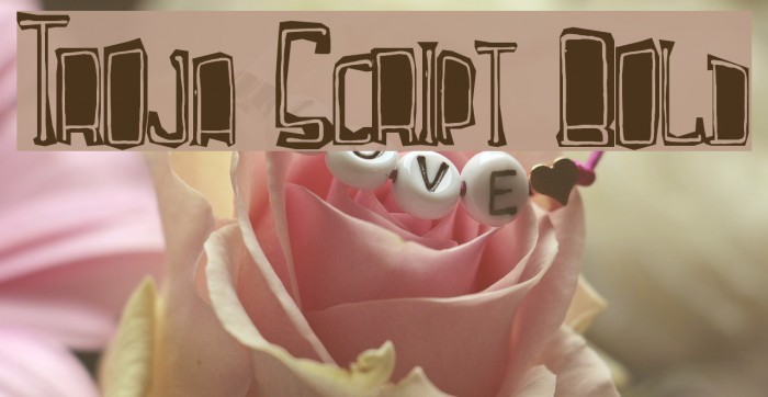 Troja Script Bold Font examples