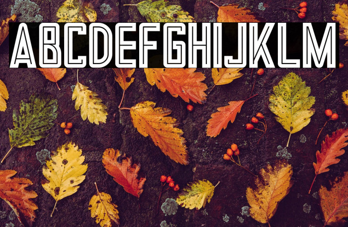 Tron Bold Inline Example 3