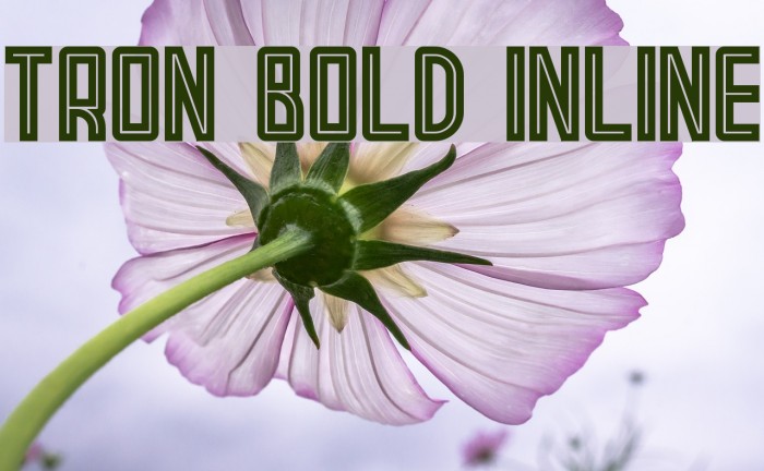 Tron Bold Inline Example 1