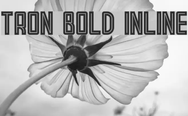 Tron Bold Inline Font examples