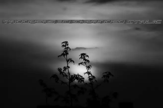 Troopers 3D Expanded Italic Font examples