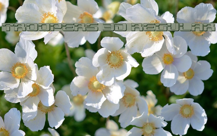 Troopers 3D Regular Example 1