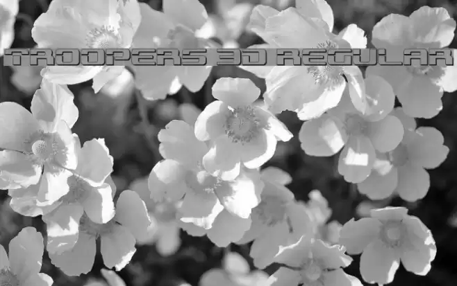 Troopers 3D Regular Font examples