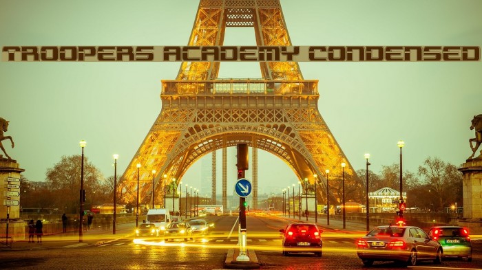 Troopers Academy Condensed Font examples