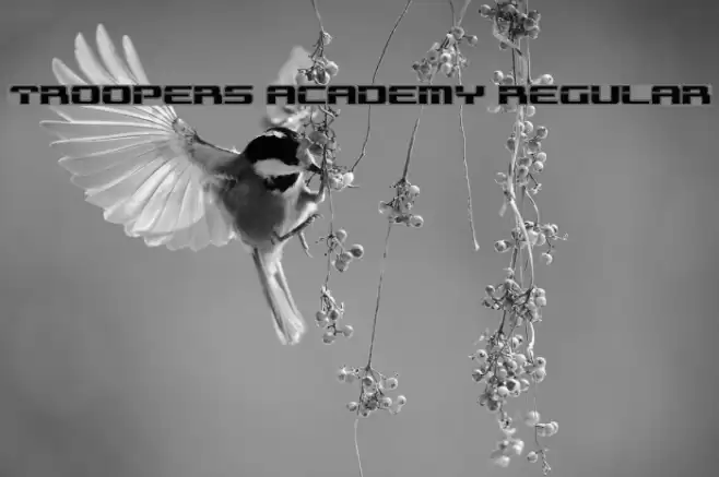 Troopers Academy Regular Font examples