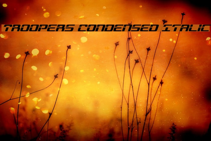 Troopers Condensed Italic Font examples