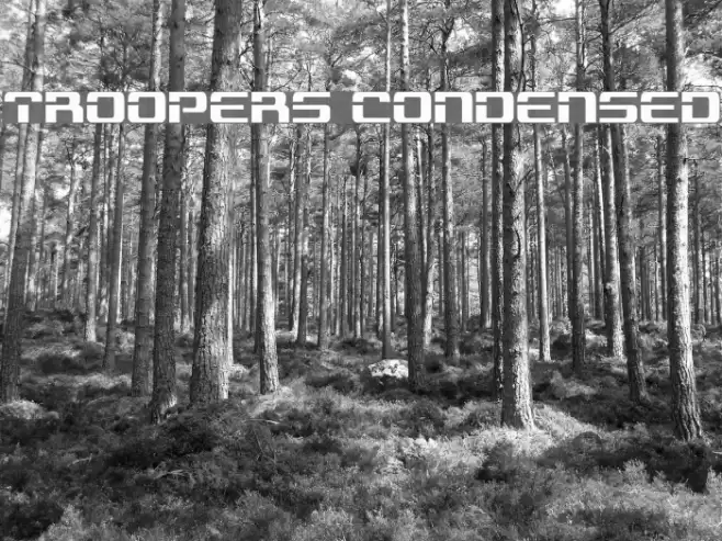 Troopers Condensed Font examples
