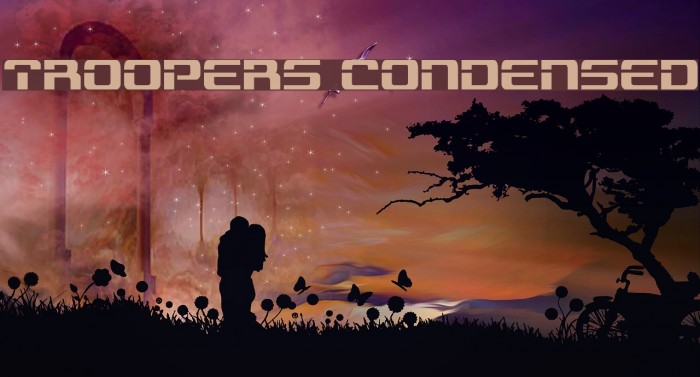 Troopers Condensed Example 2