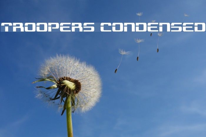 Troopers Condensed Example 3