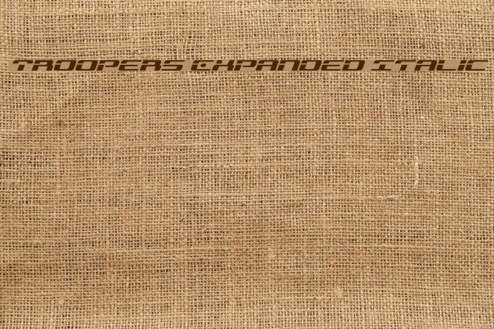 Troopers Expanded Italic Example 1