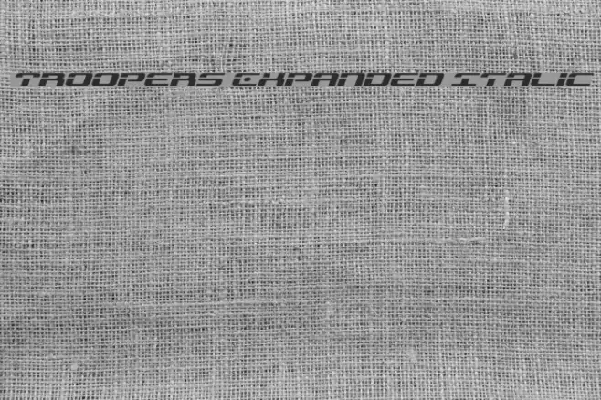 Troopers Expanded Italic Font examples