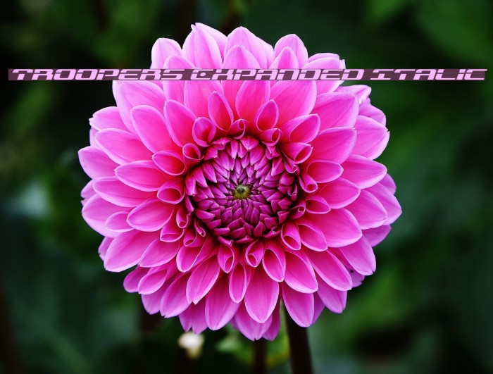 Troopers Expanded Italic Example 3