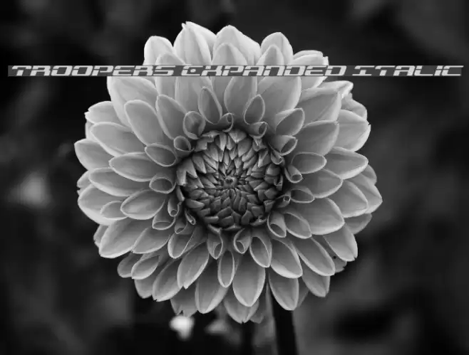 Troopers Expanded Italic Font examples