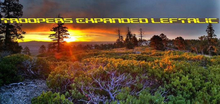 Troopers Expanded Leftalic Font examples