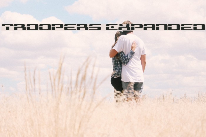 Troopers Expanded Example 1