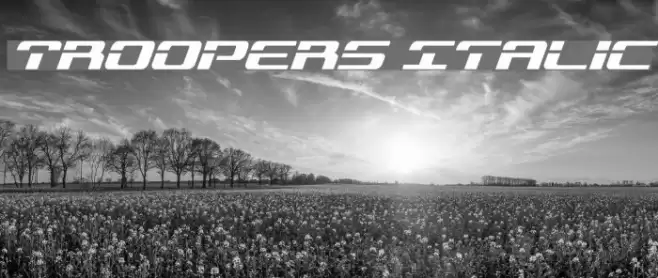 Troopers Italic Font examples