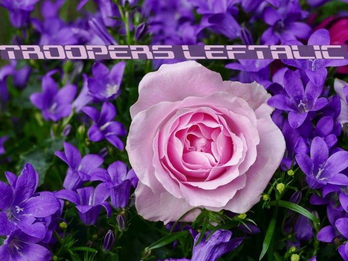 Troopers Leftalic Font examples