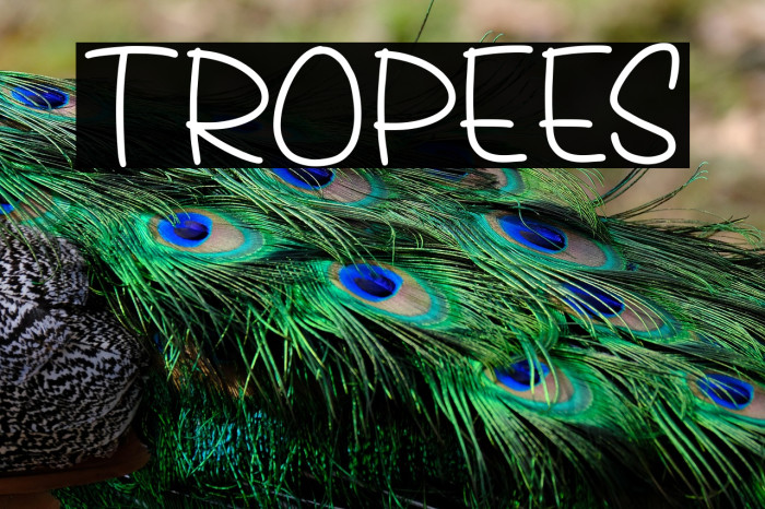 Tropees Example 1
