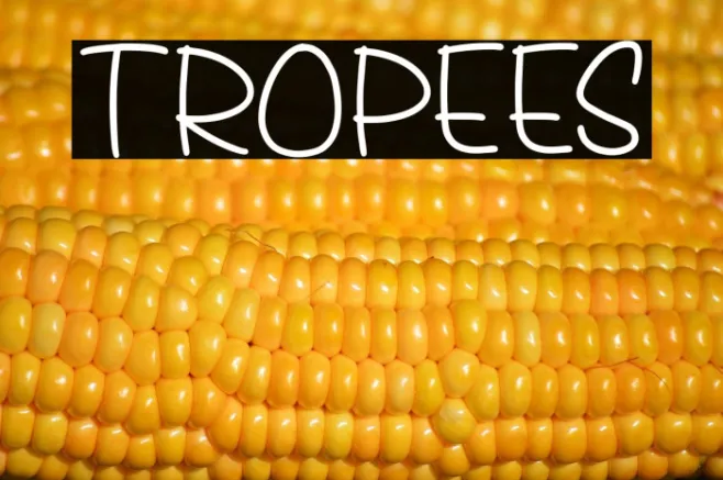 Tropees Example 2