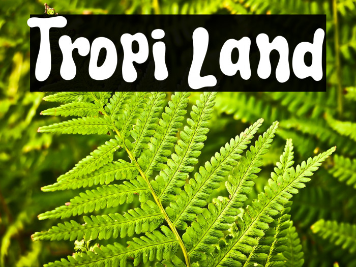 Tropi Land Example 1