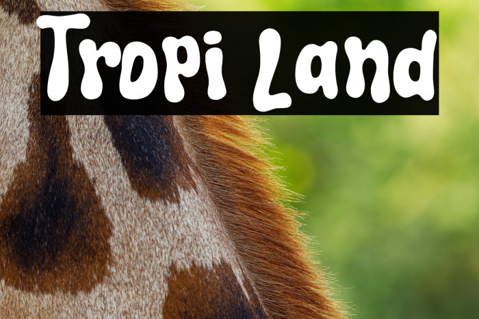Tropi Land Example 2