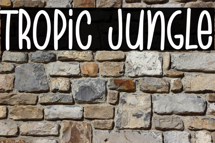 Tropic Jungle Example 2