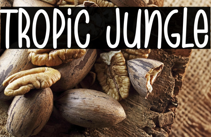 Tropic Jungle Example 3