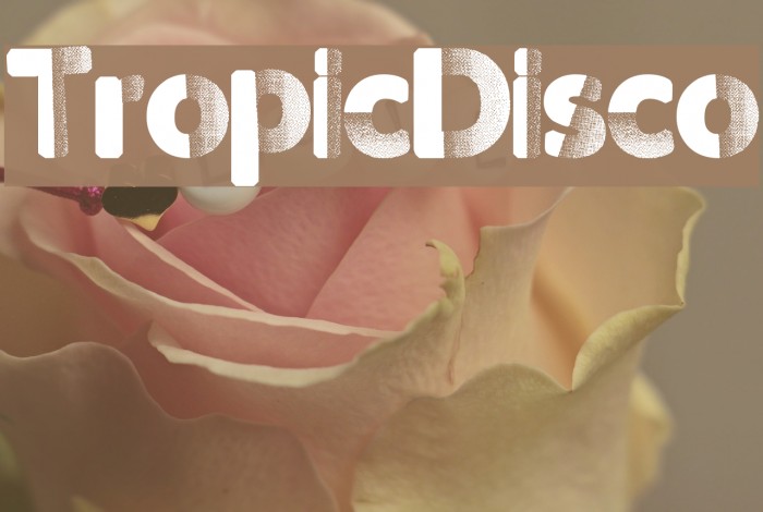TropicDisco Font examples