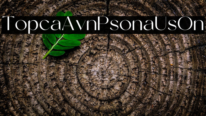 Tropical Avenue Personal Use On Example 1