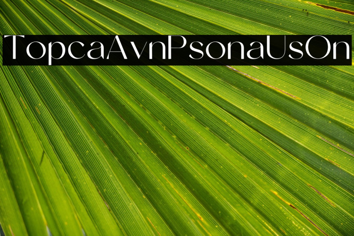 Tropical Avenue Personal Use On Example 3