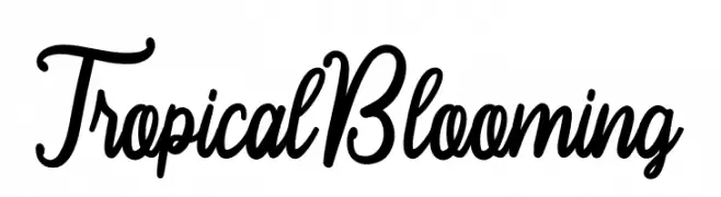 Tropical Blooming  Fuentes Gratis Descargar