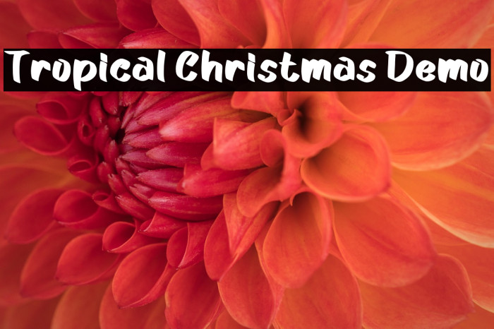 Tropical Christmas Demo Example 1