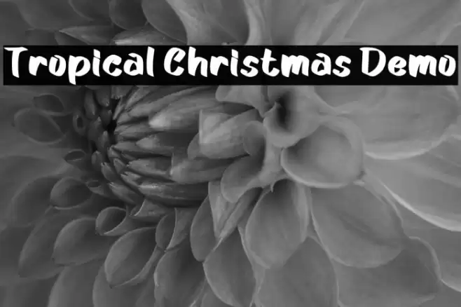 Tropical Christmas Demo Fuentes examples
