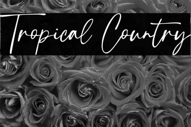 Tropical Country Font examples