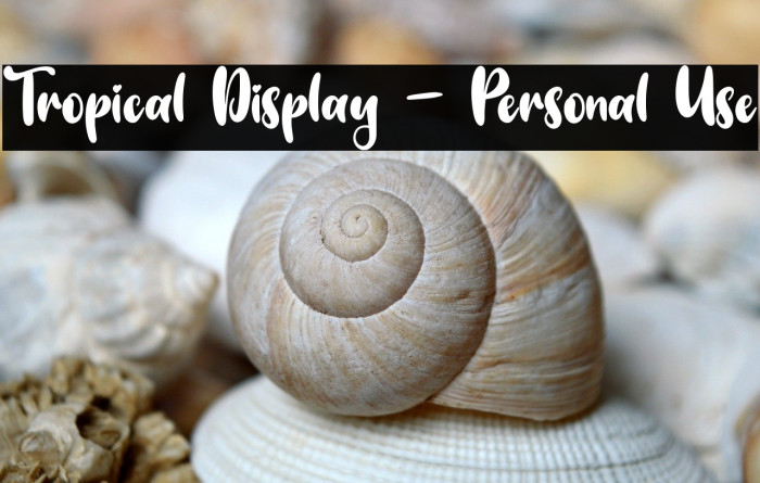 Tropical Display - Personal Use Example 1