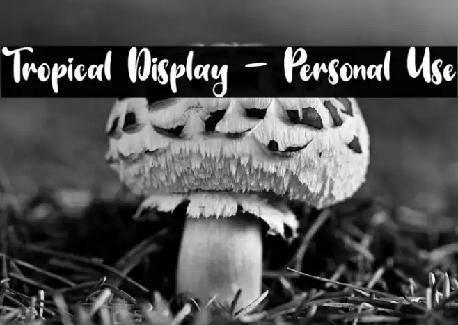 Tropical Display - Personal Use Font examples