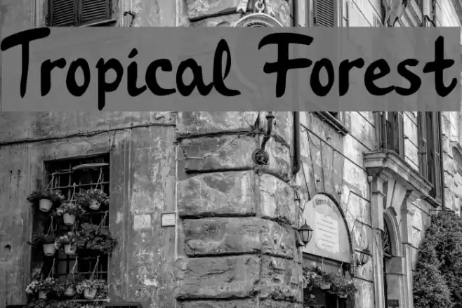 Tropical Forest Font examples