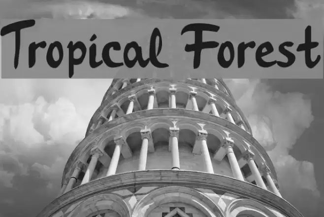 Tropical Forest Font examples