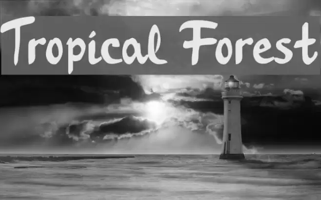Tropical Forest Font examples