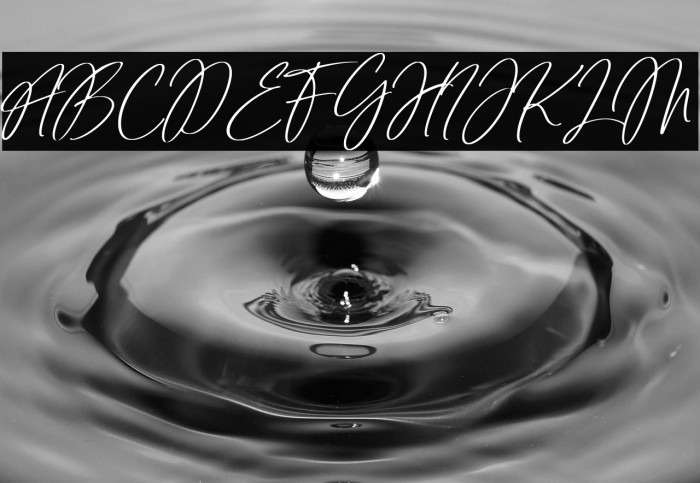 Tropical Harmony Example 3