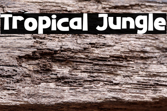 Tropical Jungle Example 1
